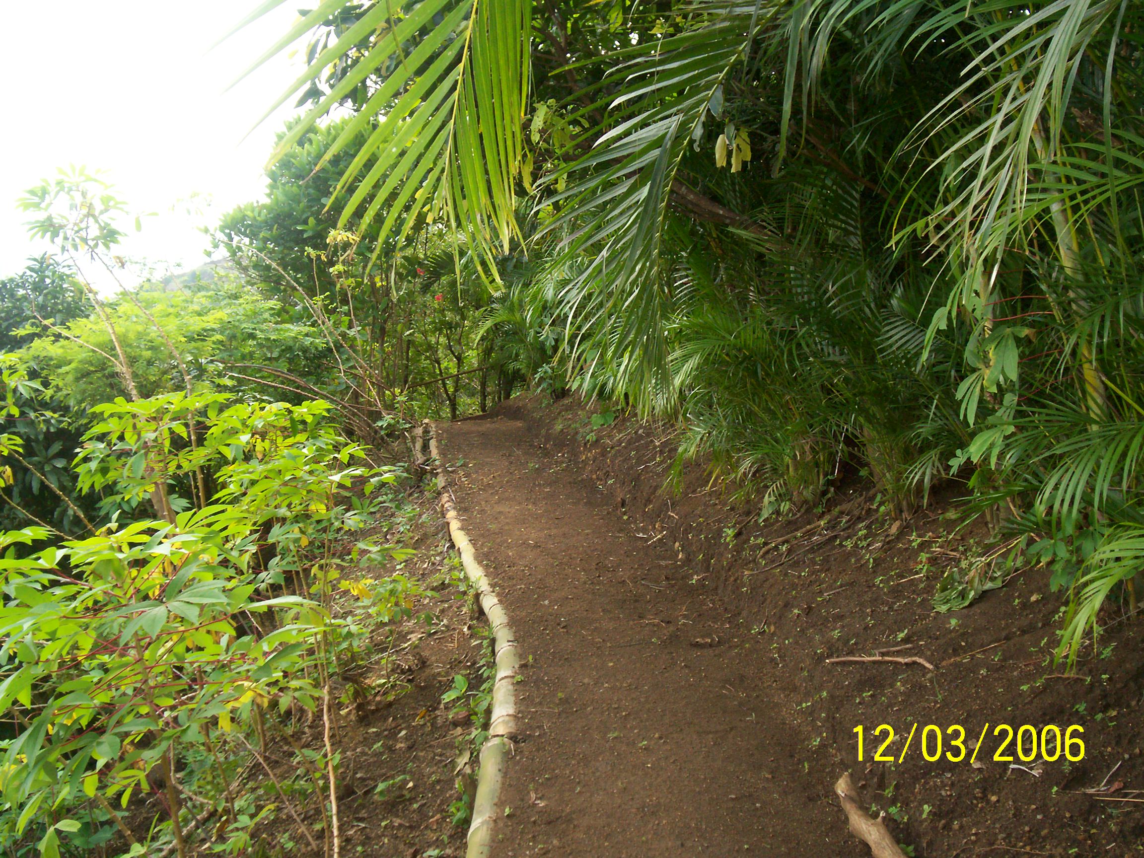tagaytay3.jpg